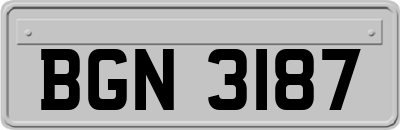 BGN3187