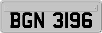 BGN3196