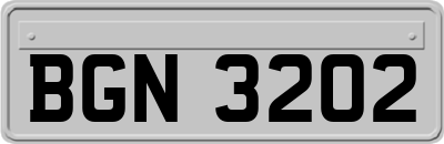 BGN3202