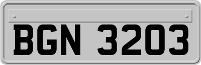 BGN3203