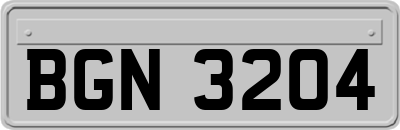 BGN3204