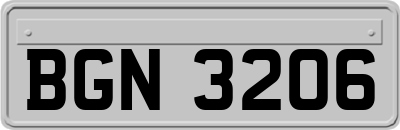 BGN3206