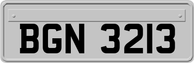 BGN3213