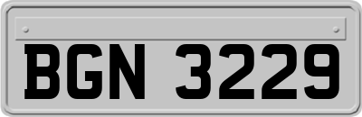 BGN3229