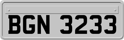 BGN3233