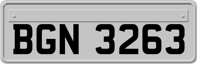 BGN3263