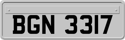 BGN3317