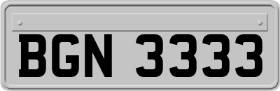 BGN3333