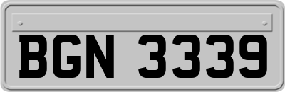 BGN3339