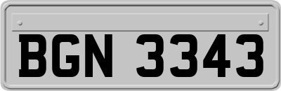 BGN3343