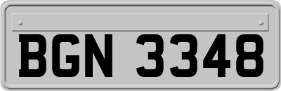 BGN3348