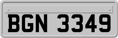 BGN3349