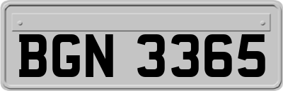 BGN3365