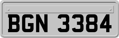BGN3384