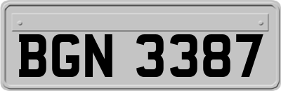 BGN3387