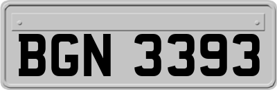 BGN3393