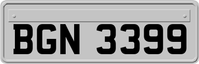 BGN3399