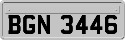 BGN3446