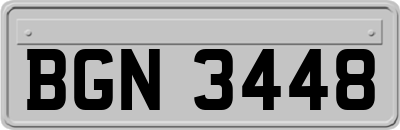BGN3448