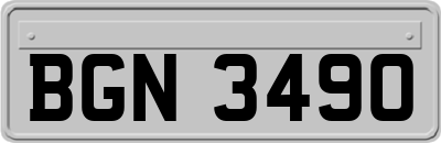 BGN3490