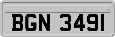 BGN3491