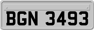 BGN3493