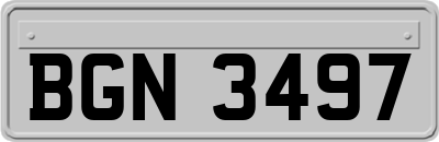 BGN3497