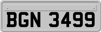 BGN3499