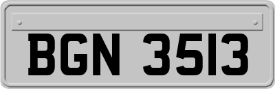 BGN3513