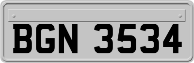 BGN3534