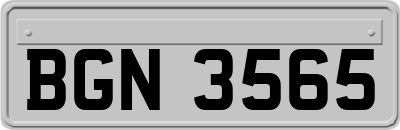 BGN3565
