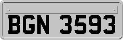 BGN3593
