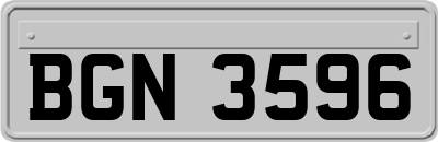 BGN3596
