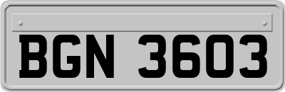 BGN3603