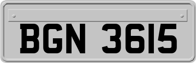 BGN3615