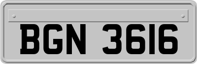 BGN3616