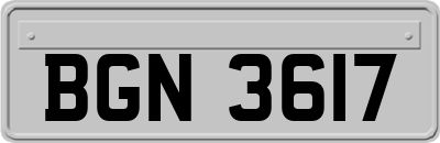 BGN3617