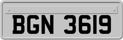 BGN3619