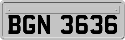 BGN3636