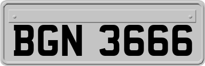 BGN3666