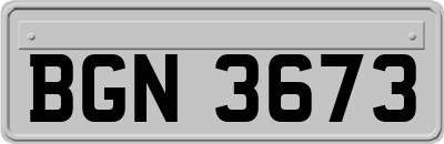 BGN3673