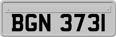 BGN3731