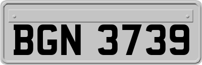 BGN3739