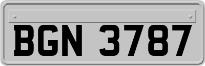 BGN3787