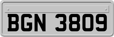 BGN3809