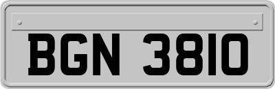 BGN3810
