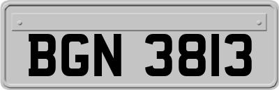 BGN3813