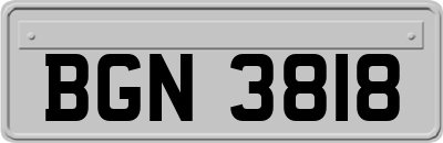 BGN3818