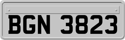 BGN3823