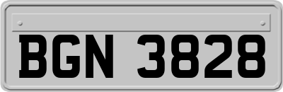 BGN3828
